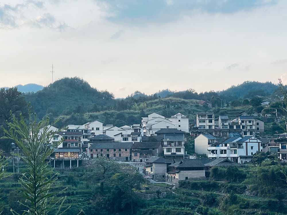 暑期社會(huì)實(shí)踐·大學(xué)生助力鄉(xiāng)村米酒，把酒賣到“云上”去