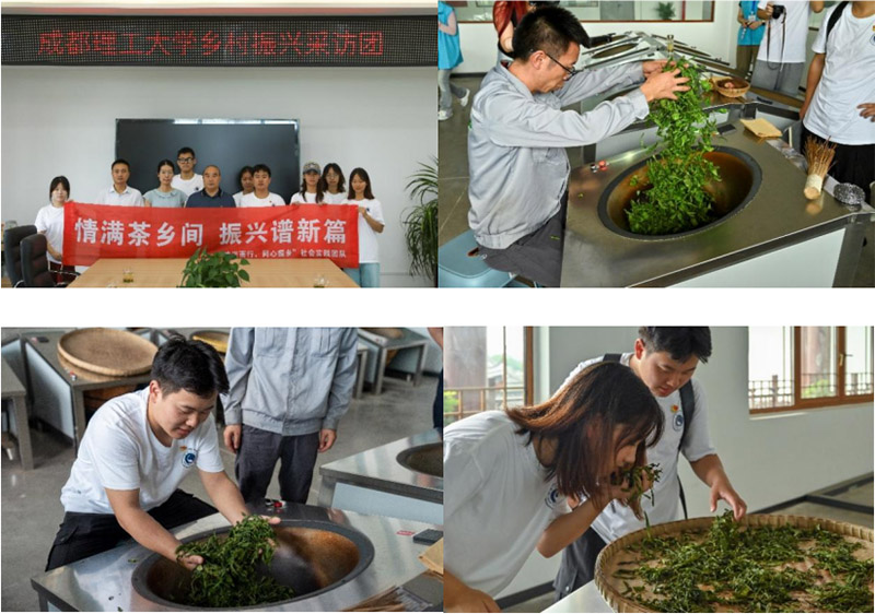 古韻深長潤童心，文化瑰寶共傳揚：屏山炒青非遺傳承之旅
