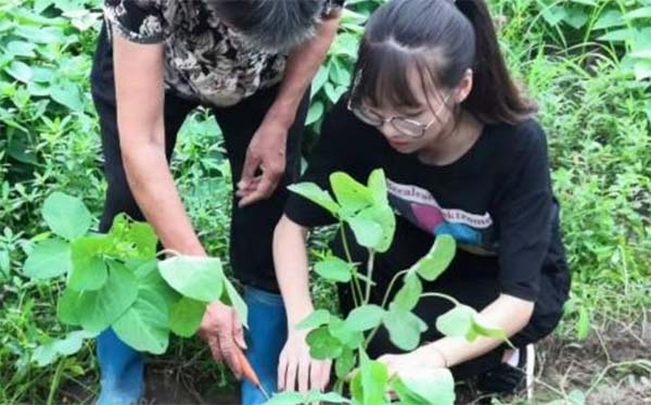 傳承基于文化，實踐探索未來——麗水學院實踐隊挖掘“創(chuàng)
