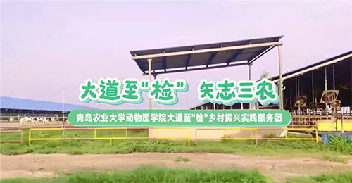 大道至簡，三農情牽：青島農業(yè)大學動物醫(yī)學院鄉(xiāng)村振興實踐服務團走訪養(yǎng)殖天地