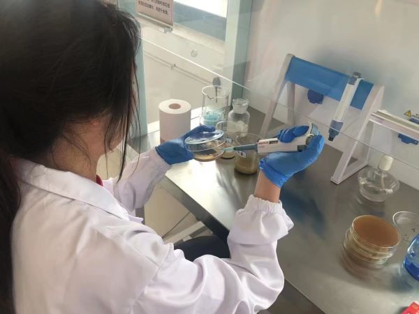 聚焦微生物技術(shù)，助力重金屬土壤修復