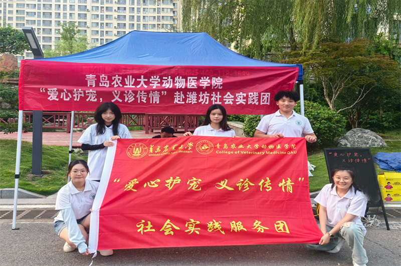 青島農(nóng)業(yè)大學“愛心護寵，義診傳情”社會實踐服務團：攜手共筑愛寵家園 并肩共繪和諧