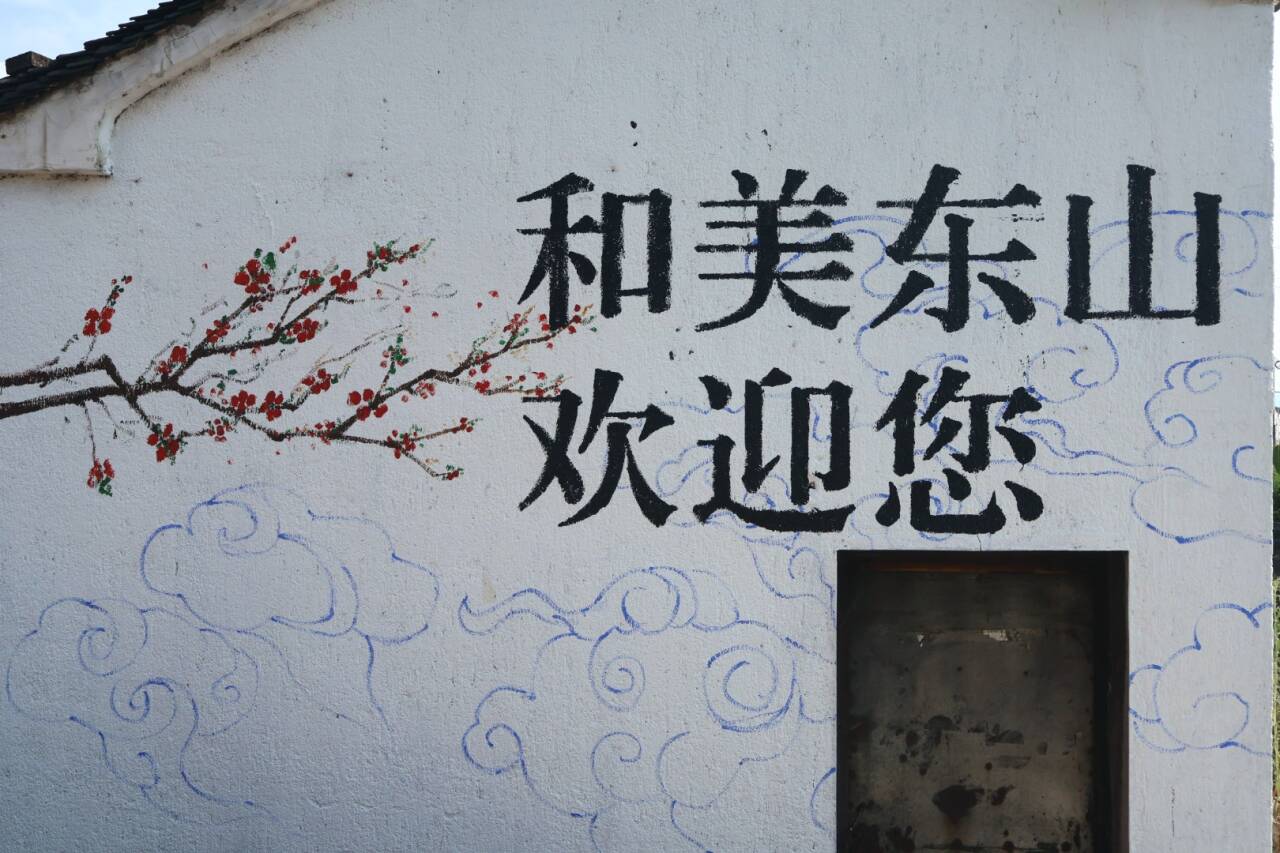 踐行黨的二十屆三中全會精神，青年先鋒助力建設(shè)和美鄉(xiāng)村