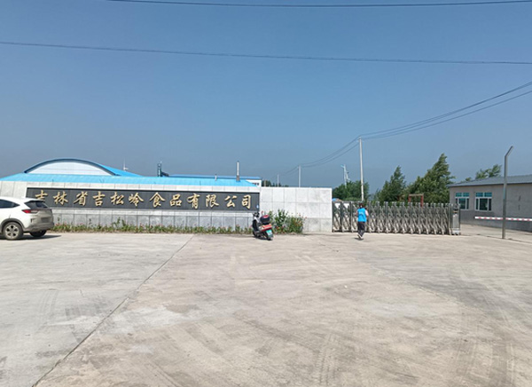 淮師學(xué)子三下鄉(xiāng)：聚焦城鎮(zhèn)發(fā)展，守望振興藍(lán)圖