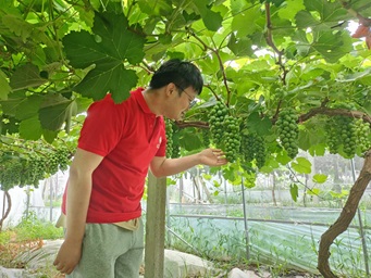 大學(xué)生暑期社會實踐參觀之旅與村委授牌儀式