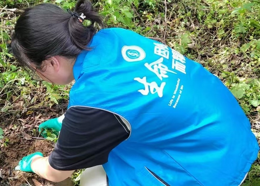 河南師范大學(xué)生命科學(xué)學(xué)院“青入田間”野生山藥種質(zhì)資源調(diào)研團(tuán)隊赴多地開展采集實踐活動