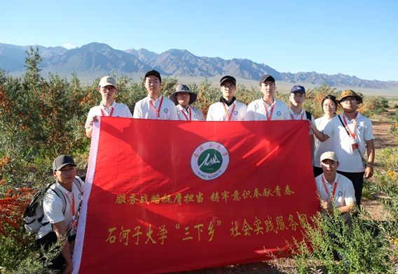 三下鄉(xiāng)科技支農(nóng)：深入摸排沙棘生長(zhǎng)，推動(dòng)收獲機(jī)再升級(jí)