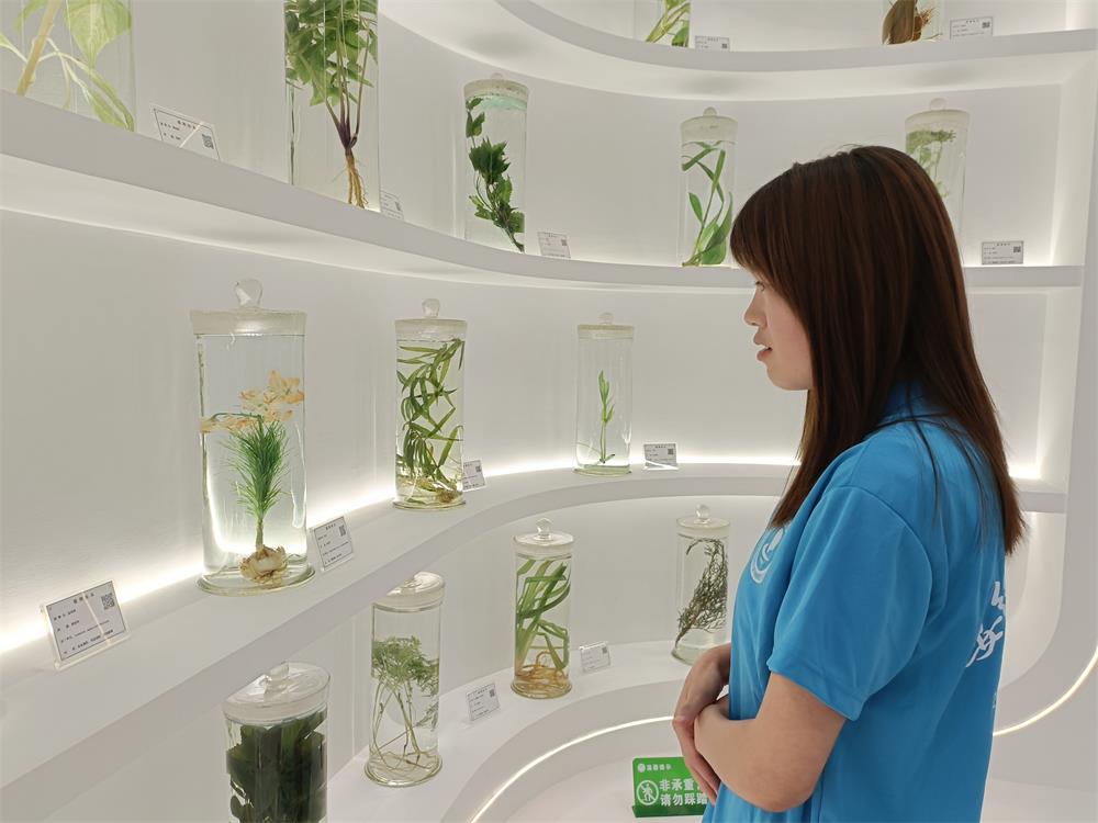 科技賦農，藥圃園里“藥”飄香