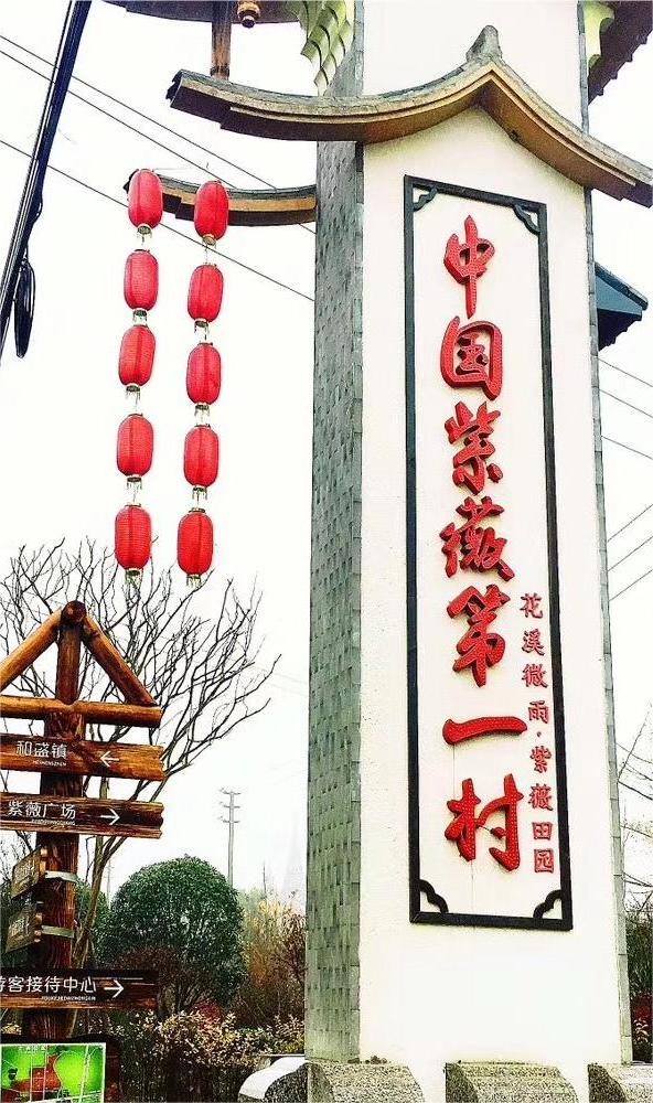 “新路”、“興路”、“心路”——以陳家渡村為例探討