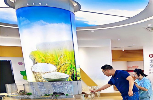 南京曉莊學院行知稻作研究團隊：深入武進水稻研究所，探尋水稻農(nóng)業(yè)科技發(fā)展之路