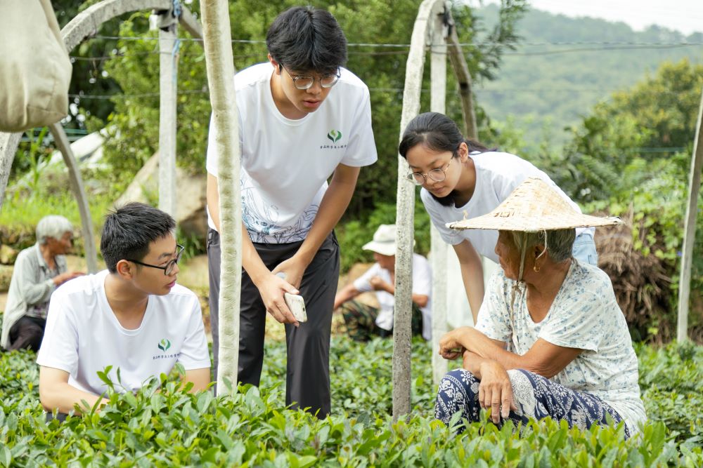 茶韻悠悠，青春筑夢；山香裊裊，智慧助農(nóng)