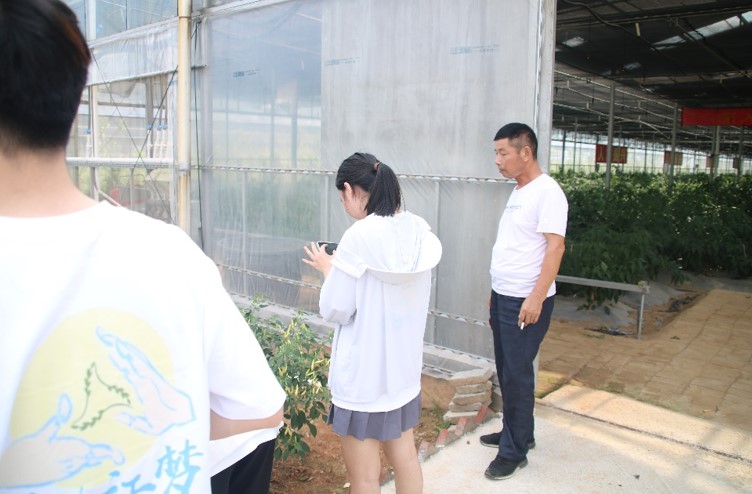 智慧農(nóng)業(yè)設施助力伍市鎮(zhèn)農(nóng)業(yè)發(fā)展
