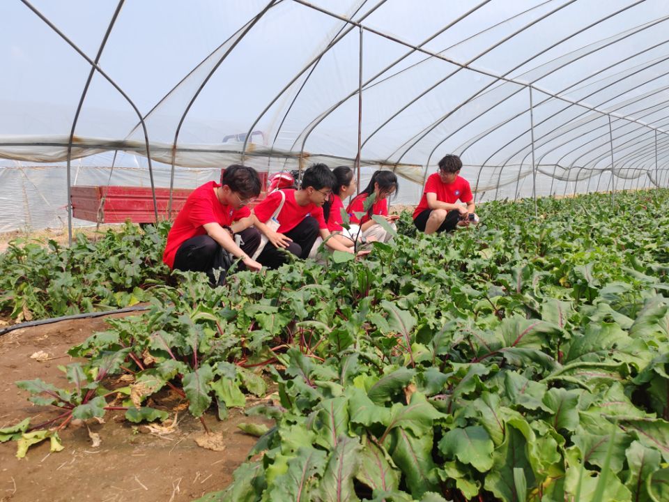 “青襟數(shù)維，共護(hù)黃河”社會(huì)實(shí)踐團(tuán)前往淄博市傅家鎮(zhèn)傅家村調(diào)研新農(nóng)村建設(shè)及孝婦河傅家段水域情況