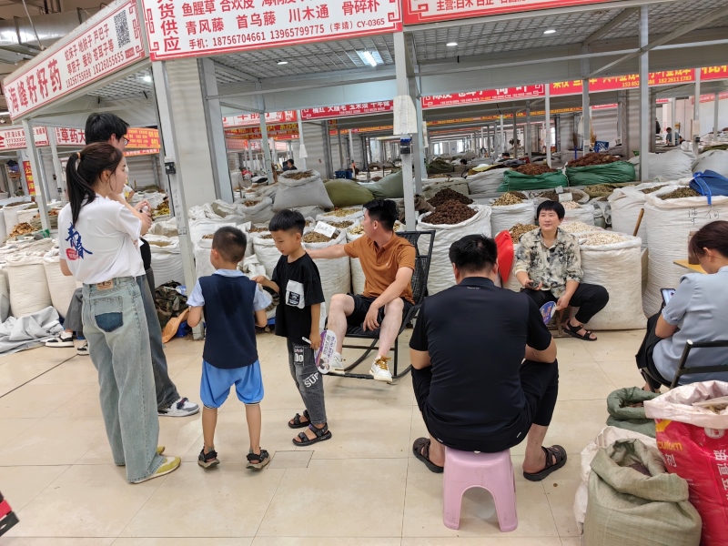探索中醫(yī)藥知識，弘揚中醫(yī)藥文化————英語對外宣傳實踐調(diào)研團隊在行動