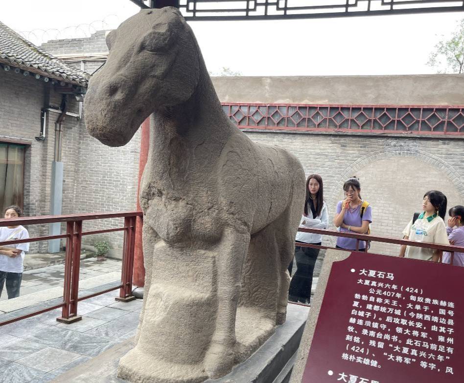 西農(nóng)學子三下鄉(xiāng)|尋脈中華傳統(tǒng)，助力文化傳承