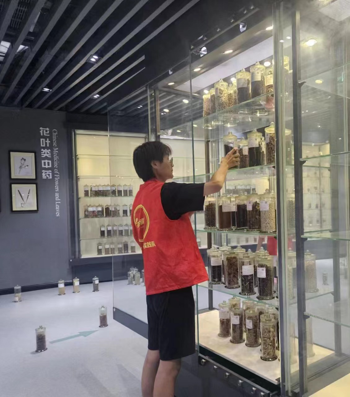 承岐黃薪火，揚中醫(yī)文化             -----“藥”你健康實踐隊