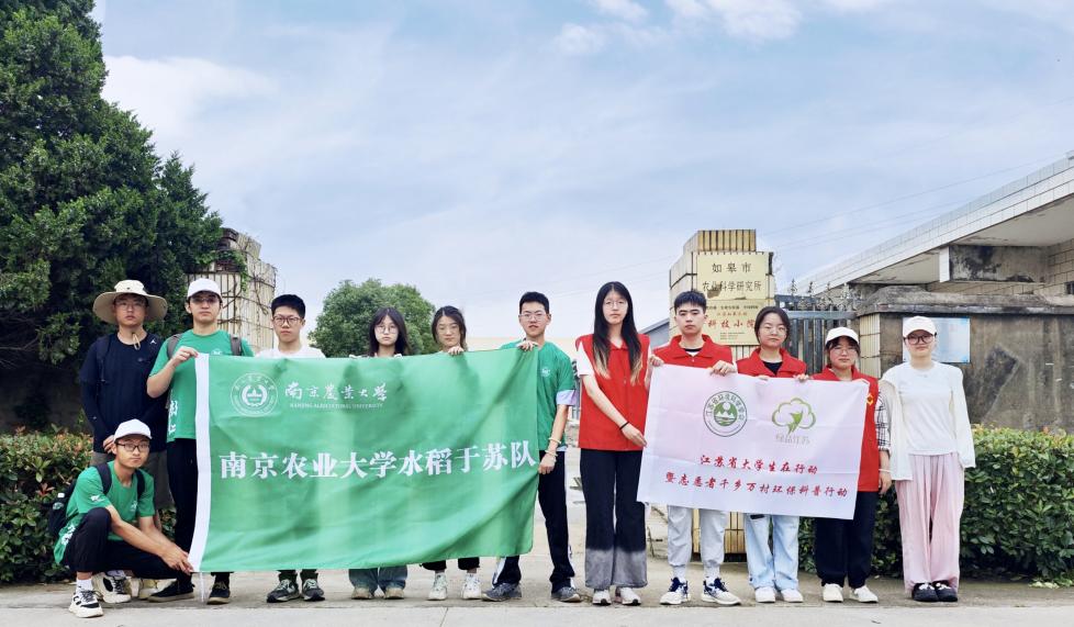 南京農(nóng)業(yè)大學(xué)暑期社會(huì)實(shí)踐：水稻于蘇小分隊(duì)赴如皋開(kāi)展“水稻種植順民意，雉水小院繪豐圖暑期”暑期實(shí)踐活動(dòng)