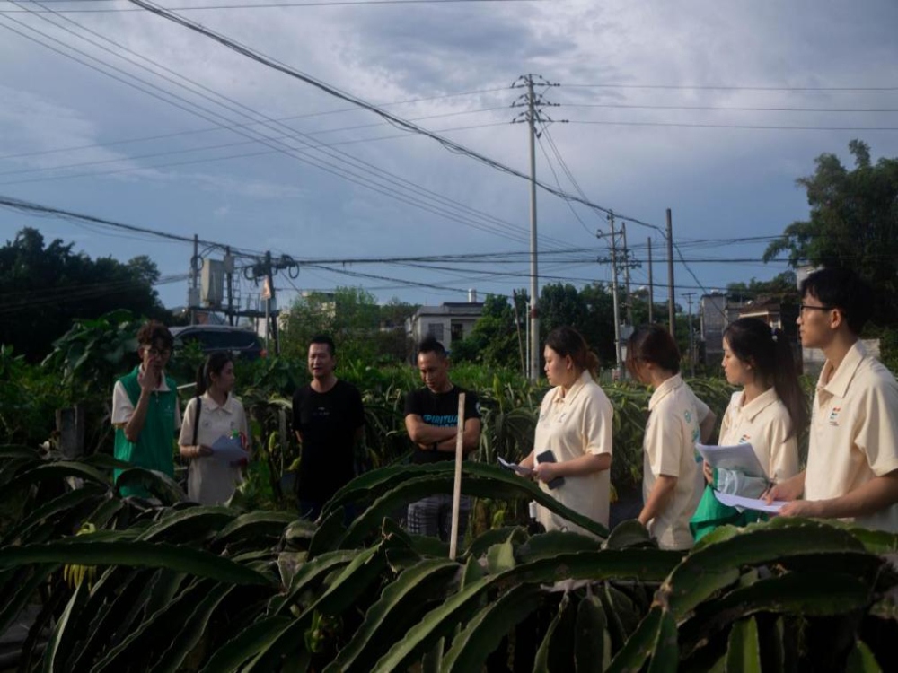 “百里飄香”映日紅，桂工學(xué)子勞動(dòng)體驗(yàn)助農(nóng)興