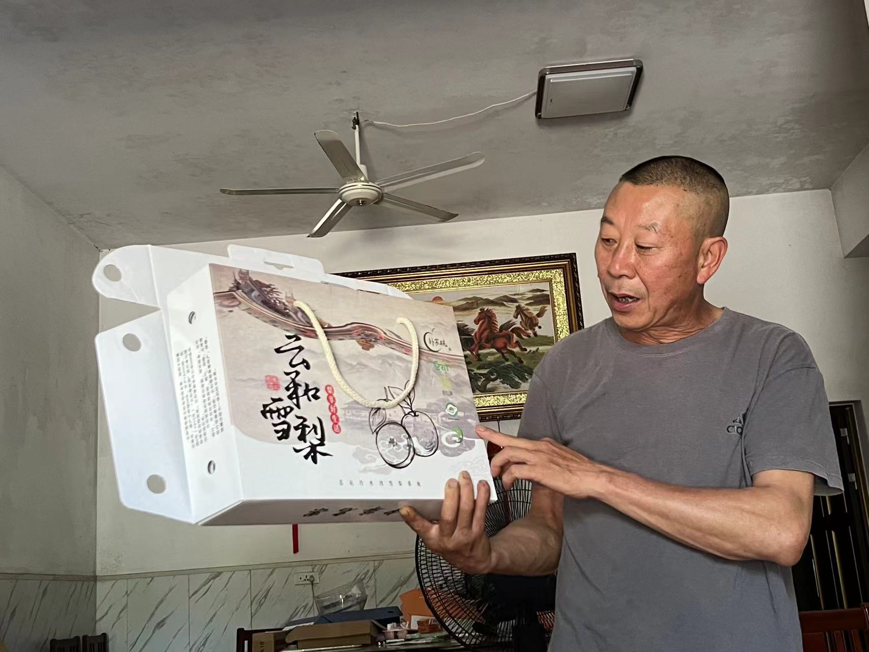 致富之梨——浙江經(jīng)濟職業(yè)技術(shù)學院摯馥芝麗團隊暑期實踐活動照片