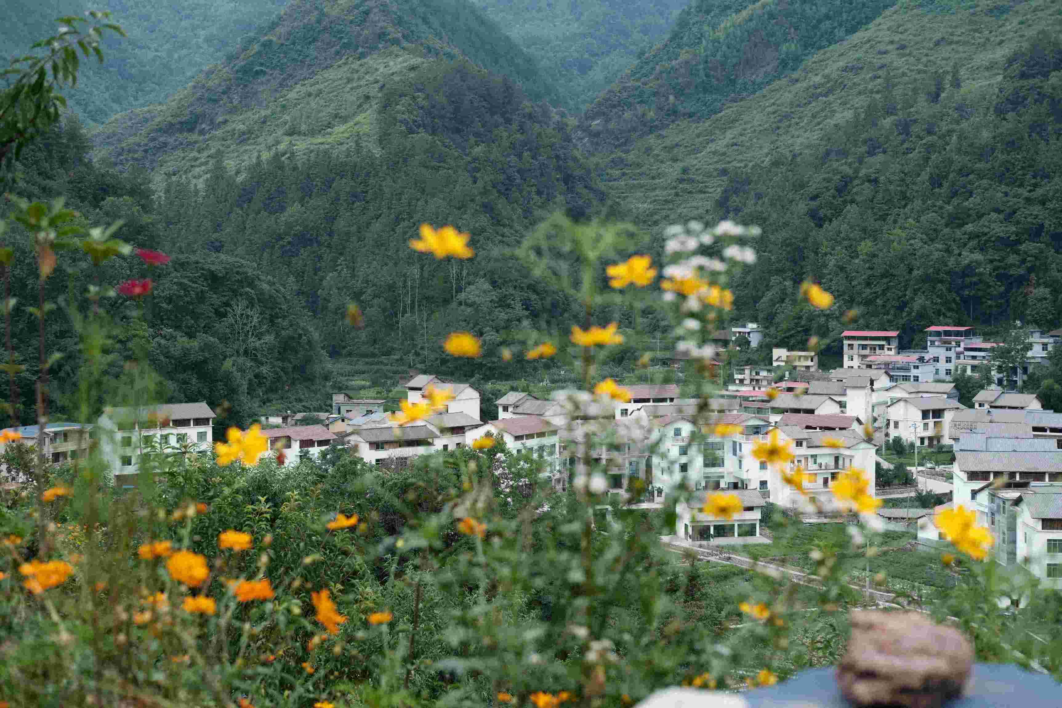 探索生物多樣性新路徑，共繪鄉(xiāng)村振興與可持續(xù)發(fā)展新畫卷  ——記重慶師范大學(xué)生命科學(xué)學(xué)院“耕培啟潤”團(tuán)隊酉陽之旅