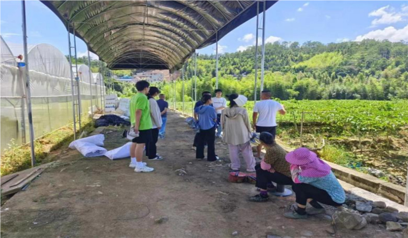 情系百香果，共筑夢(mèng)想園