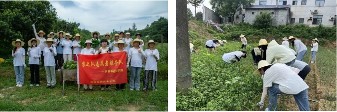 培養(yǎng)勞動情懷與實踐情懷，點亮美好未來