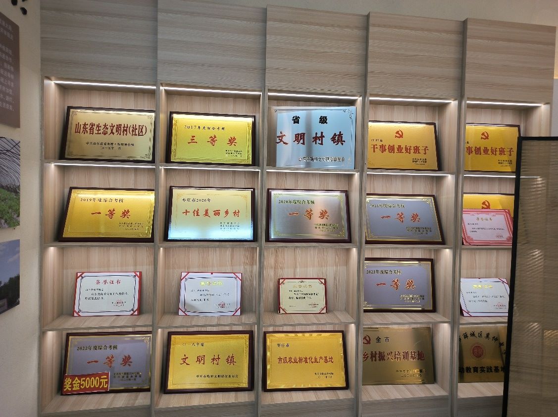聚焦特色產業(yè)，黨建引領發(fā)展：魯東大學學子走進棗莊市薛城區(qū)常莊街道“山里紅”特色種植園