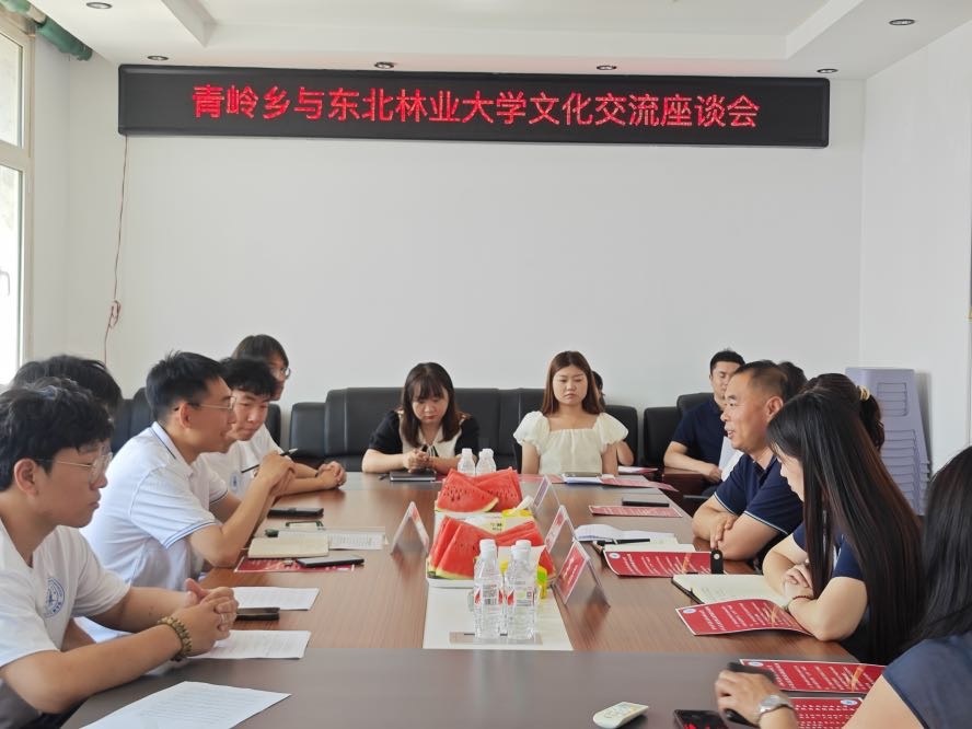 “砼”赴鄉(xiāng)土 星火相筑小隊黨團聯(lián)建會議順利開展