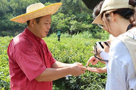 佛山科學(xué)技術(shù)學(xué)院學(xué)子三下鄉(xiāng)：走入連南茶園，助力民族發(fā)展