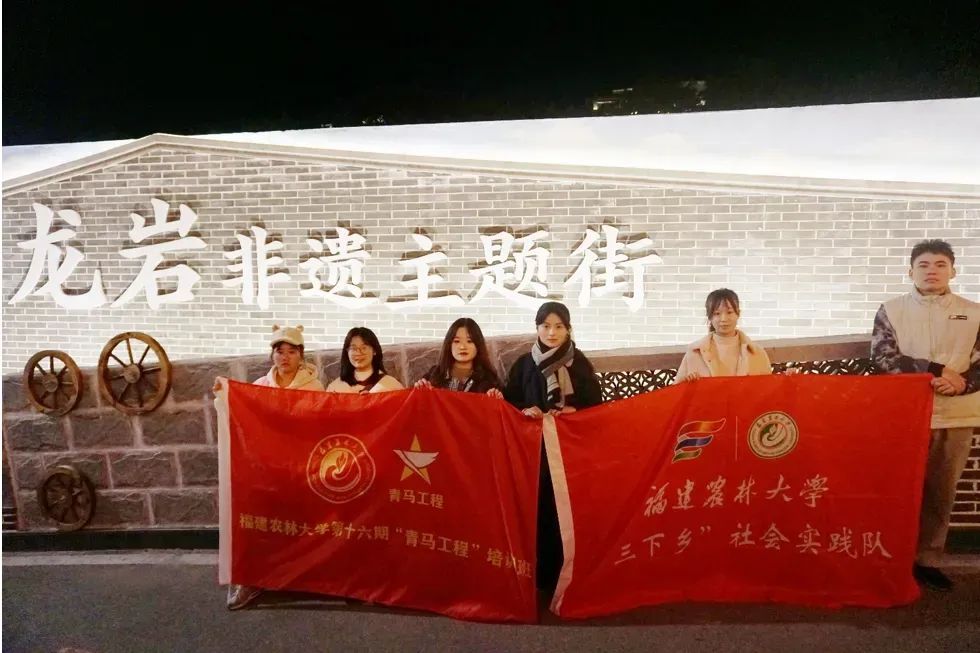 龍巖非遺文化展春節(jié)啟幕，青年學子助力文化傳承
