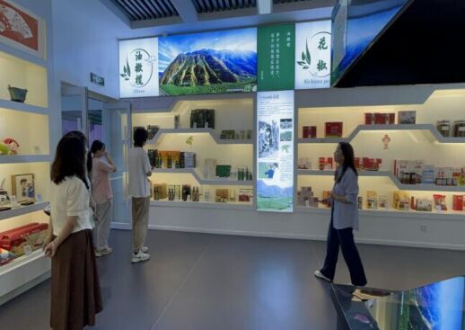 “隴上江南”實踐團踏足隴南電商尋蹤跡，一線調(diào)研實踐求真