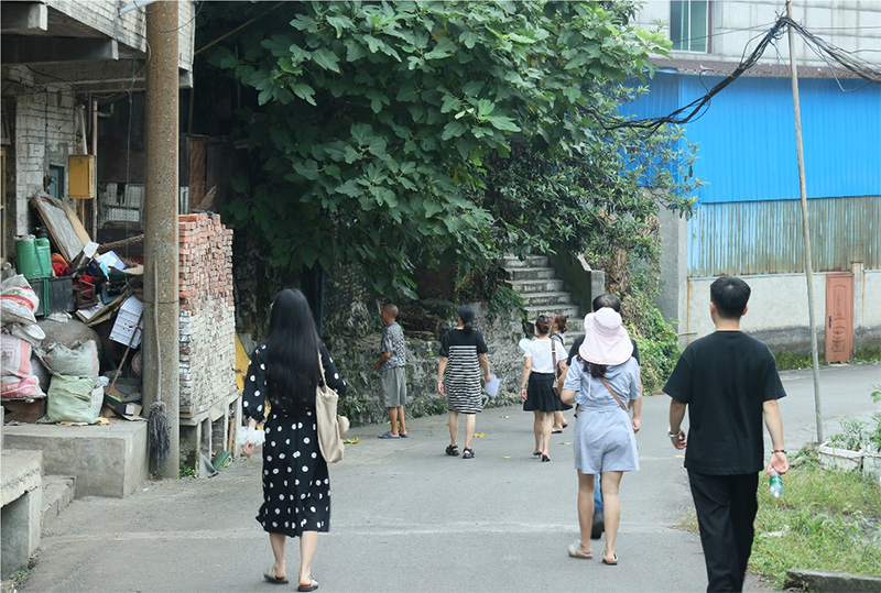 杉木樹下話振興，德田村頭繪新景——西財學(xué)子三下鄉(xiāng)調(diào)研紀(jì)實