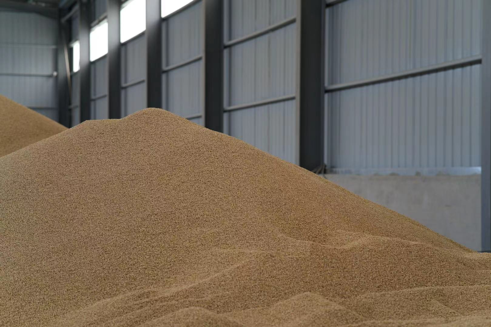 走進小麥加工基地，感受糧食的珍貴與科技的魅力