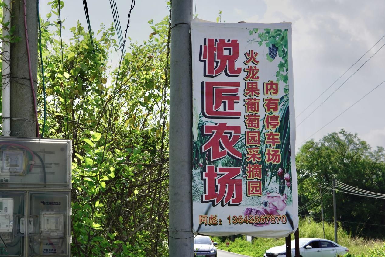 【百千萬工程 助力鄉(xiāng)春】挖掘西河農(nóng)業(yè)特色，探尋產(chǎn)業(yè)發(fā)展脈絡(luò)