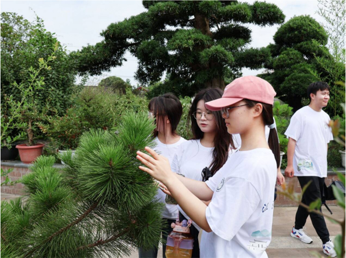 聚焦成都世園會溫江分會場，賦能非遺盆景產(chǎn)業(yè)發(fā)展