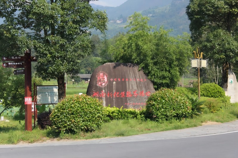 東北大學(xué)學(xué)子三下鄉(xiāng)：走入旅農(nóng)企業(yè)，探尋振興新章