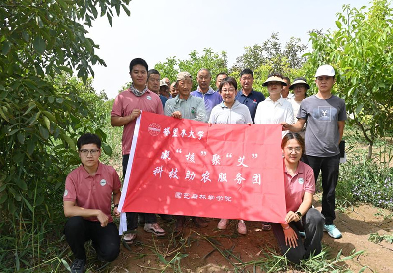 解決果農(nóng)問(wèn)題，助力核桃產(chǎn)業(yè)