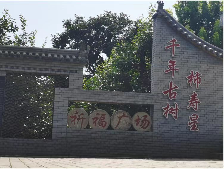 長安大學赴陜西渭南“鄉(xiāng)村振興·服務三農(nóng)”暑期社會實