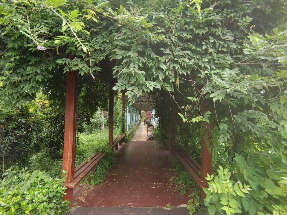 "青春的奉獻：李順雨同學暑期支教夢，點燃母校東方寄宿學校學子心"