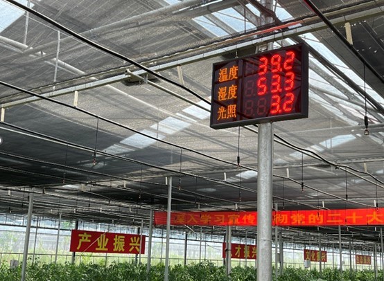 中量大“鋤江夢(mèng)”小隊(duì)奮力推進(jìn)智慧農(nóng)業(yè)：探訪平江光伏大棚