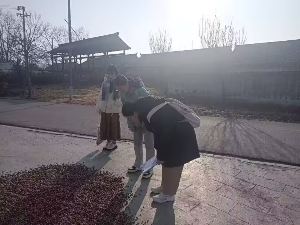 環(huán)境治理——安徽財經(jīng)大學學子走訪調(diào)研蚌埠鄉(xiāng)村調(diào)研農(nóng)藥使用情況
