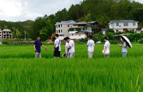 集美大學(xué)“傾潭振汀”實(shí)踐隊(duì)赴長(zhǎng)汀紅色舊址群參觀學(xué)習(xí)
