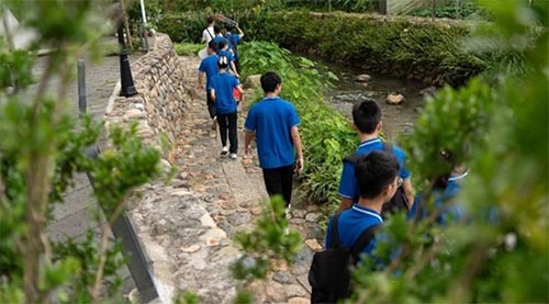 集大輪機學(xué)子三下鄉(xiāng)，見證鄉(xiāng)村振興的璀璨成果