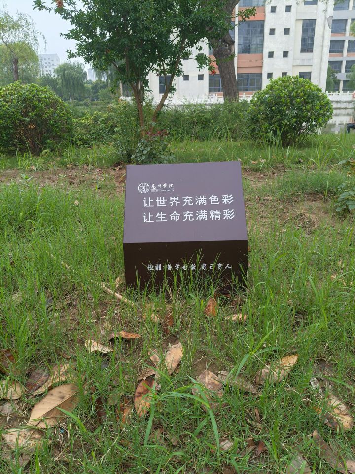 巢湖學(xué)院學(xué)子三下鄉(xiāng)實(shí)踐感悟：走不通的路，就用拳頭來(lái)打開(kāi)