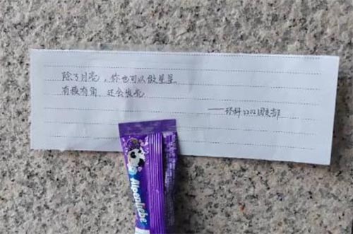 構(gòu)建幸福校園，彰顯文明之風(fēng)