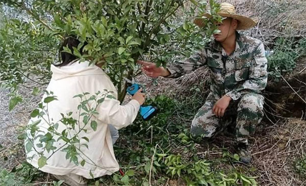 做好柑橘大文章，走好興業(yè)富民路