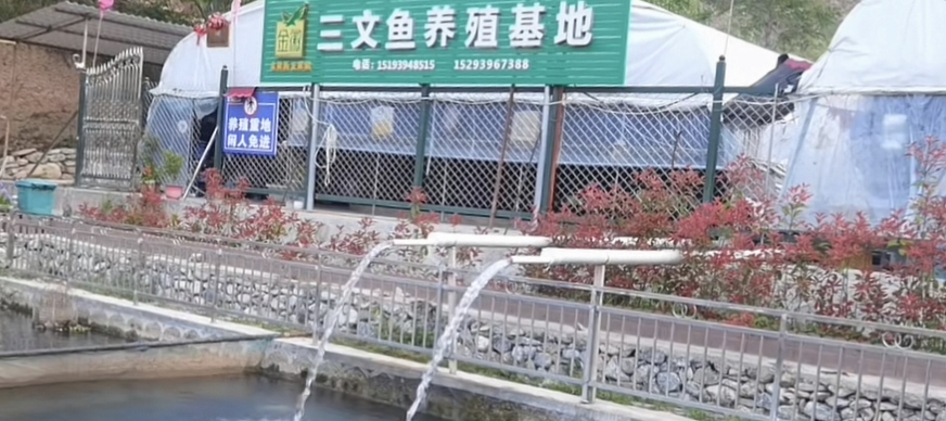 塑造甘南“特色品牌”，擴(kuò)寬群眾增收大道。