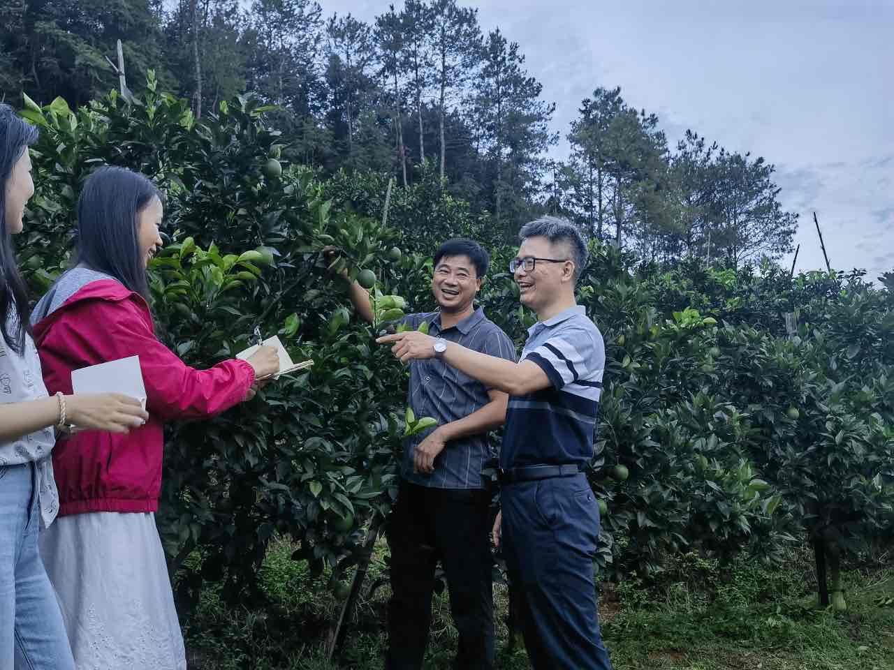 扶貧振興繪“南”圖，詩和遠方伴“橙”香